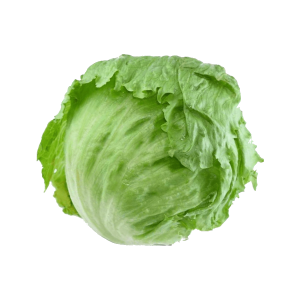 076 - LECHUGA 1 PIEZA